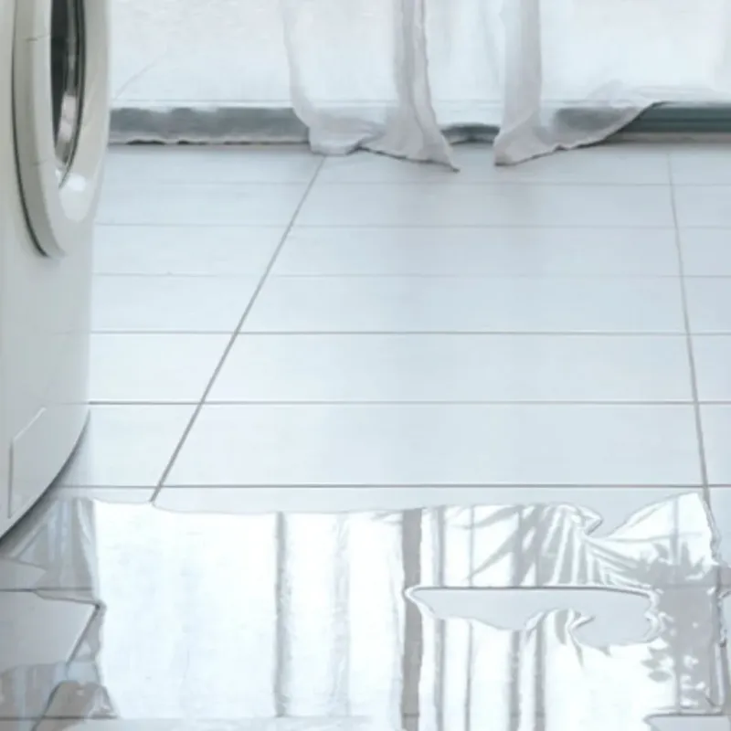 Appliance Leak Cleanup in Louisburg, KS