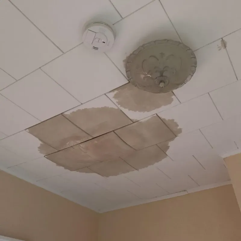 Ceiling Water Damage Repair in Louisburg, KS
