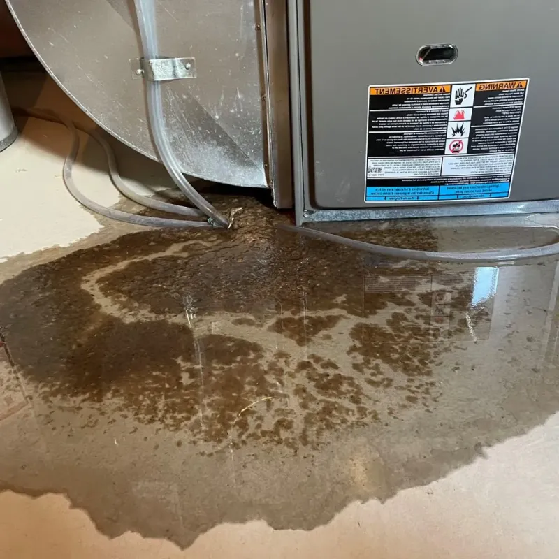 Pipe Burst and Leak Restoration in Louisburg, KS