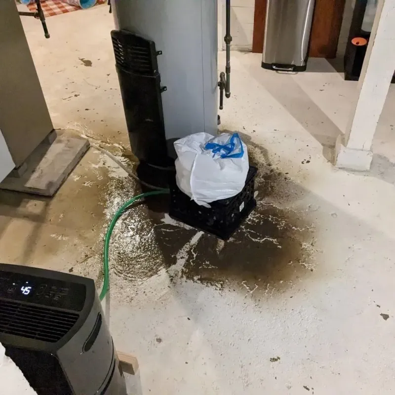 Sewage Backup Cleanup Service in Louisburg, KS